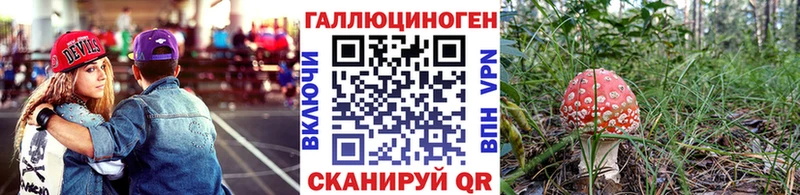 Галлюциногенные грибы Cubensis Тайшет